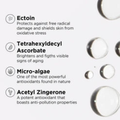 Image Skincare Daily Prevention SPF Sampler Set 7 Image Skincare Daily Prevention SPF Sampler Set -Skin Care By Alana 3 600f19c3 a24a 41d7 8668 dbe604cd6cd9