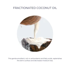 Alana Mitchell Organic MCT Facial Oil 2oz / 60ml 9 Alana Mitchell Organic MCT Facial Oil 2oz / 60ml -Skin Care By Alana 584749866 4