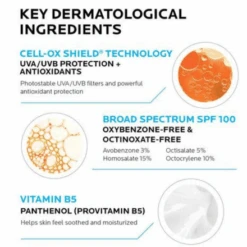 LA ROCHE-POSAY La Roche Posay Anthelios Melt-In Milk Sunscreen SPF 100 3oz / 90ml -Skin Care By Alana ANTHELIOSMELT INMILK 730dcc12 5d62 4977 b784 889b4d0de503