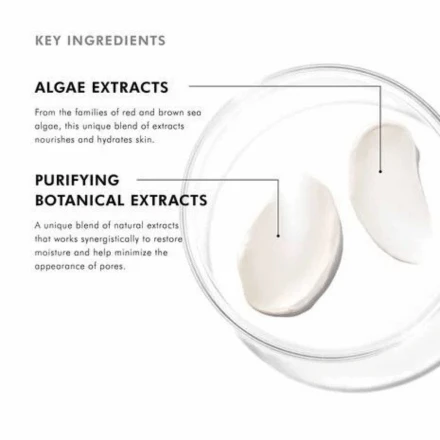 SkinCeuticals Daily Moisture 2oz 3 SkinCeuticals Daily Moisture 2oz - Image 3