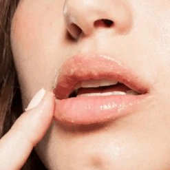 FarmHouse Fresh Whoopie Lip Polish -Skin Care By Alana Whoopie LipPolish1