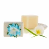 Pure Fiji Luxury Spa Soap Mini 1.7oz -Skin Care By Alana coconut 33d9faa3 e53d 418f 80ad bc9c18f4a2bf