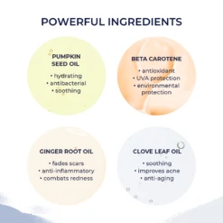 Rhonda Allison Pumpkin Cleanser (New Name - Pumpkin Lactic Cleanse) -Skin Care By Alana mini rhonda allisoningredients rhonda allison