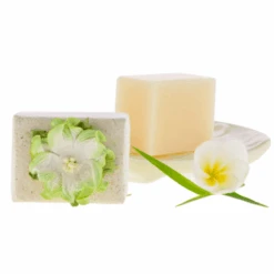 Pure Fiji Luxury Spa Soap Mini 1.7oz -Skin Care By Alana noni 0a42868b 6975 44e5 b5f4 1063234b6f9d