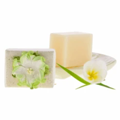 Pure Fiji Luxury Spa Soap Mini 1.7oz -Skin Care By Alana starfruit 43c45631 c925 4532 9888 81a476f48d07